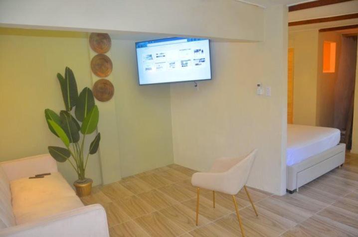 Homey Vacation And Carrental 威廉斯塔德 外观 照片